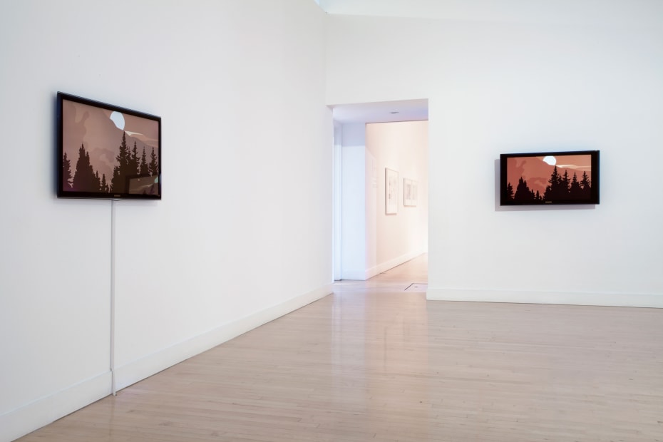 Installation view of Kota Ezawa: The Curse of Dimensionality, January 5 - February 18, 2012 at Haines Gallery, San Francisco