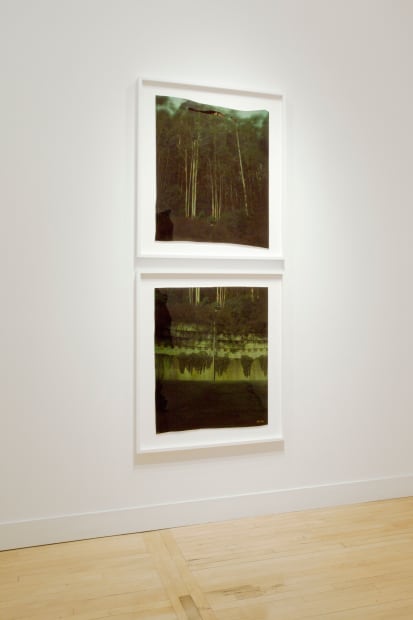 Installation view of John Chiara: Crestmont at Coral, April 12 - May 26, 2012 at Haines Gallery, San Francisco