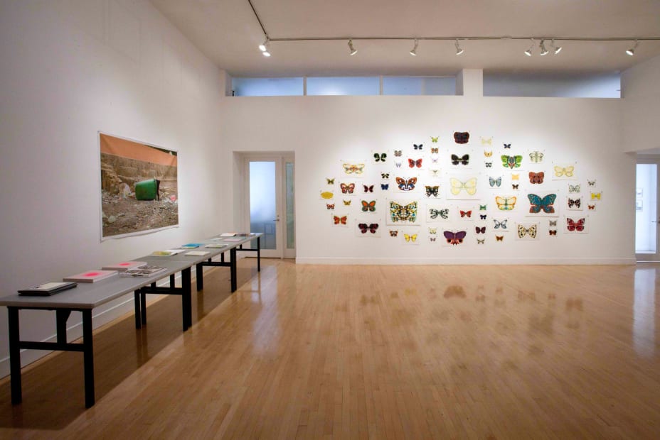 Installation view of Rob Craigie: The Expanding Color System, July 19 - August 25, 2012 at Haines Gallery, San Francisco