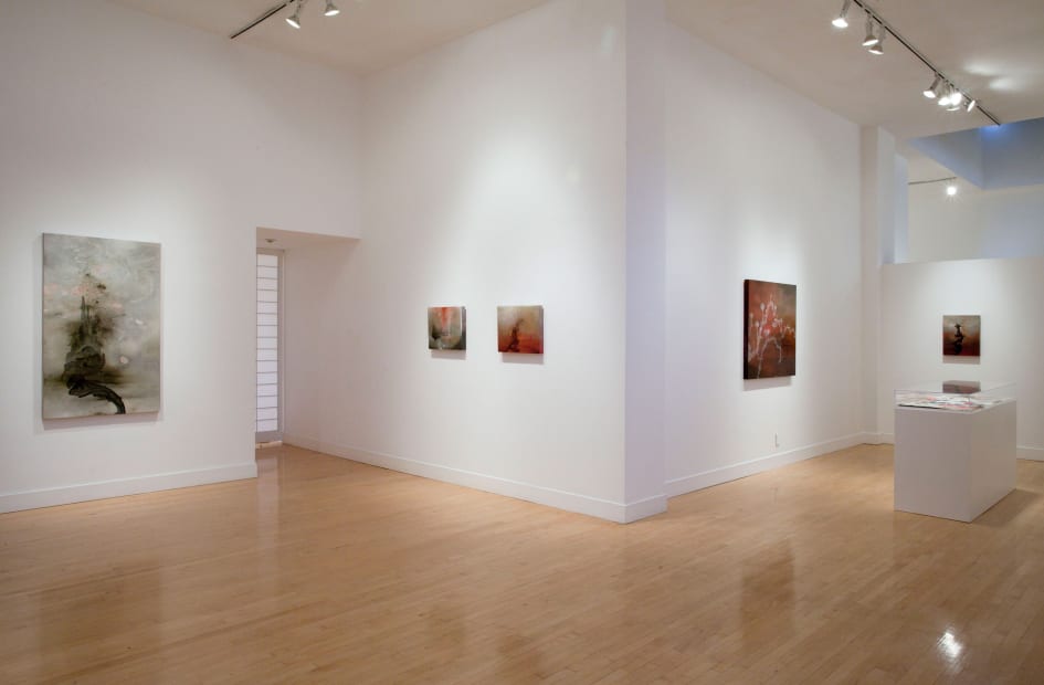Installation view of Darren Waterston: Ravens and Ruins, March 28 - May 18, 2013 at Haines Gallery, San Francisco