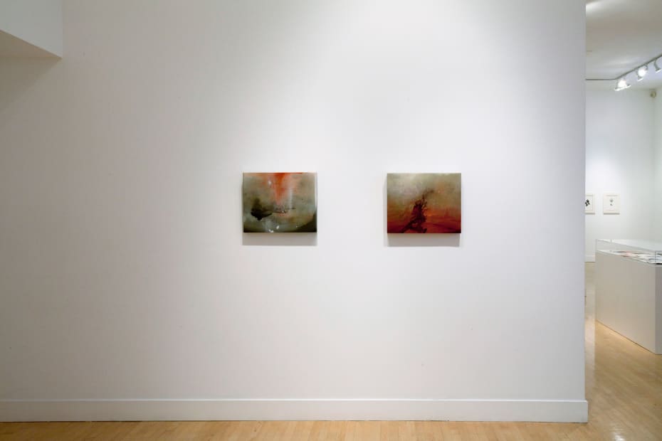 Installation view of Darren Waterston: Ravens and Ruins, March 28 - May 18, 2013 at Haines Gallery, San Francisco