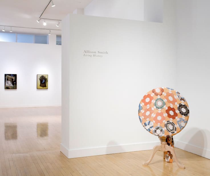 Installation view of Sunny A. Smith: Living History, May 23 - July 6, 2013 at Haines Gallery, San Francisco