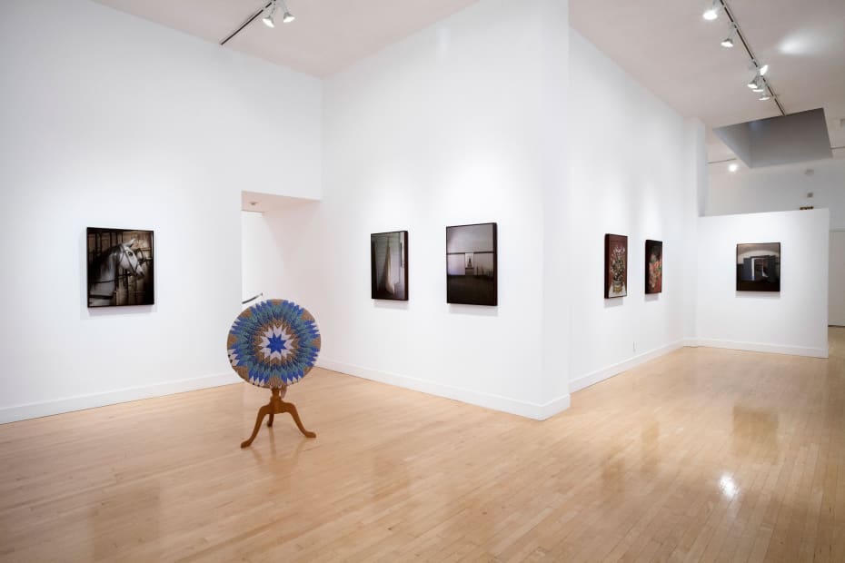 Installation view of Sunny A. Smith: Living History, May 23 - July 6, 2013 at Haines Gallery, San Francisco