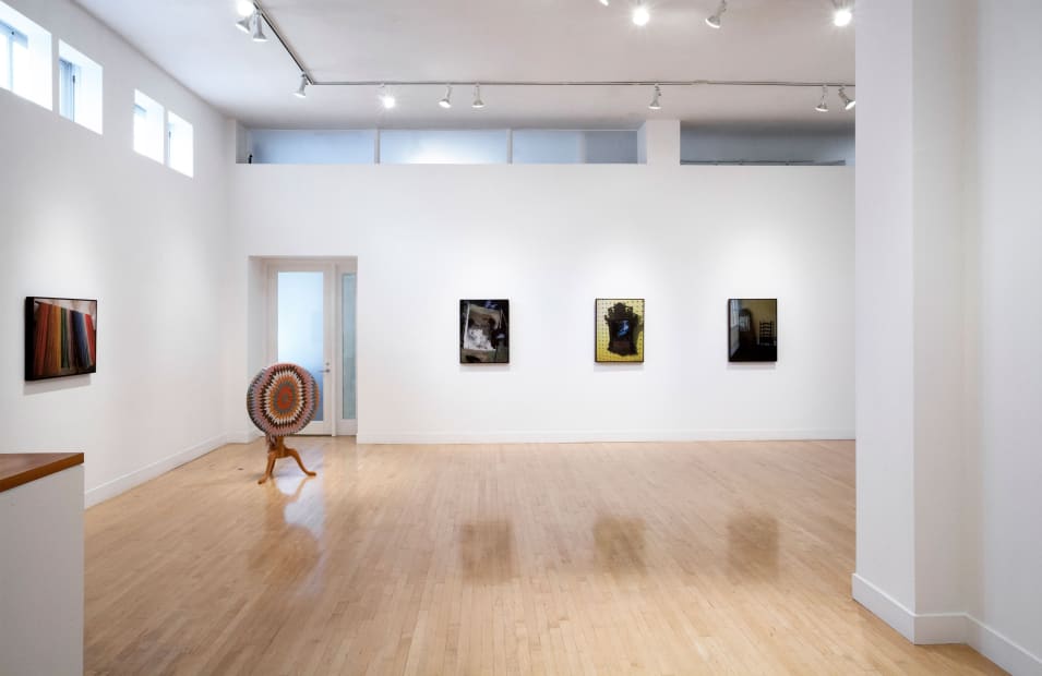 Installation view of Sunny A. Smith: Living History, May 23 - July 6, 2013 at Haines Gallery, San Francisco
