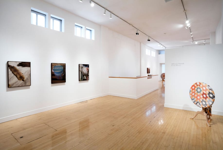 Installation view of Sunny A. Smith: Living History, May 23 - July 6, 2013 at Haines Gallery, San Francisco