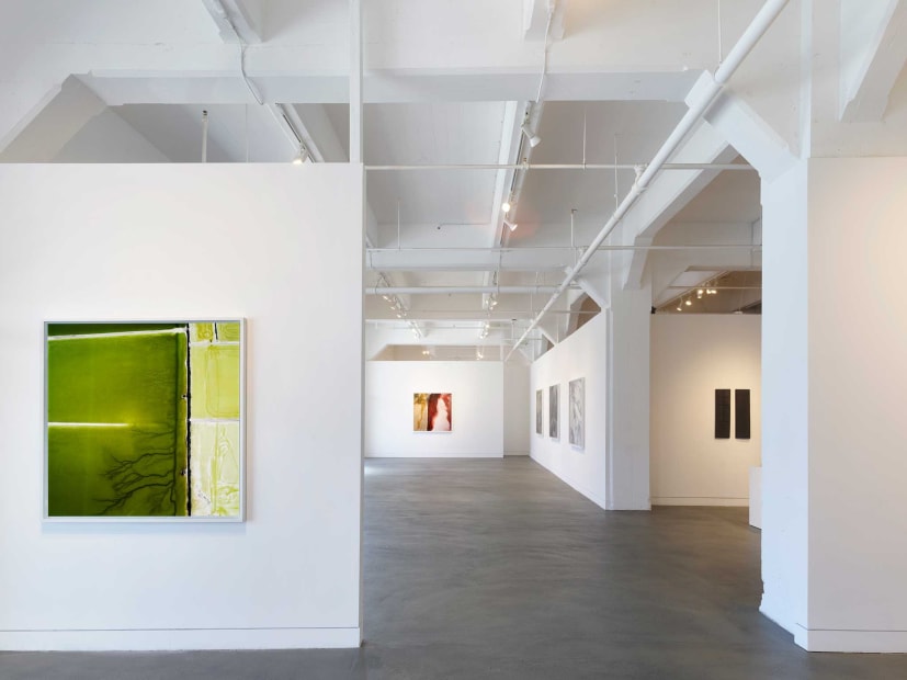 Installation view of David Maisel: Un/Earthed, November 3, 2023 - January 6, 2024 at Haines Gallery, San Francisco Photo: Robert Divers Herrick