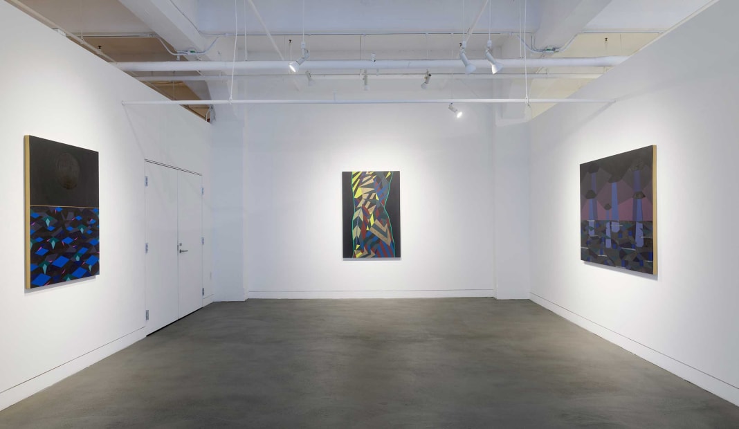 Installation view of Adia Millett: Reflections on Black, January 16 - March 9, 2024 at Haines Gallery, San Francisco Photo: Robert Divers Herrick