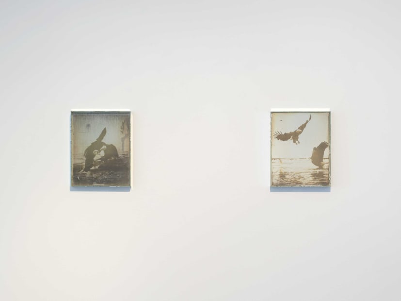 Installation view of Material Matters, July 19 - August 31, 2024 at Haines Gallery, San Francisco Photo: Robert Divers Herrick