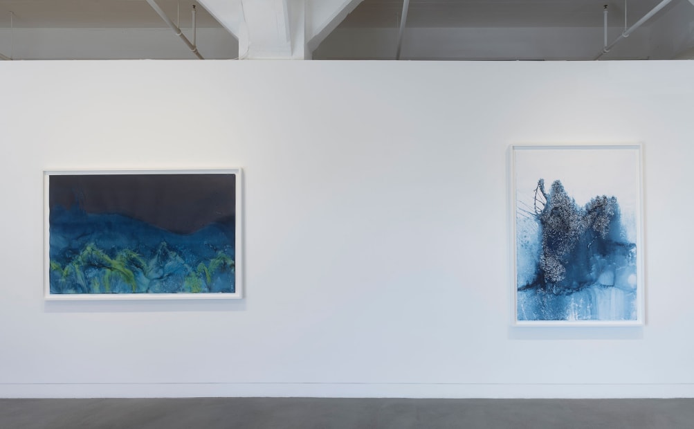 Installation view of Meghann Riepenhoff: State Shift, January 22 - March 15, 2025 at Haines Gallery, San Francisco, CA Photo: Robert Divers Herrick