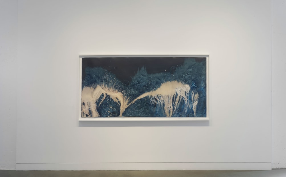 Installation view of Meghann Riepenhoff: State Shift, January 22 - March 15, 2025 at Haines Gallery, San Francisco, CA Photo: Robert Divers Herrick