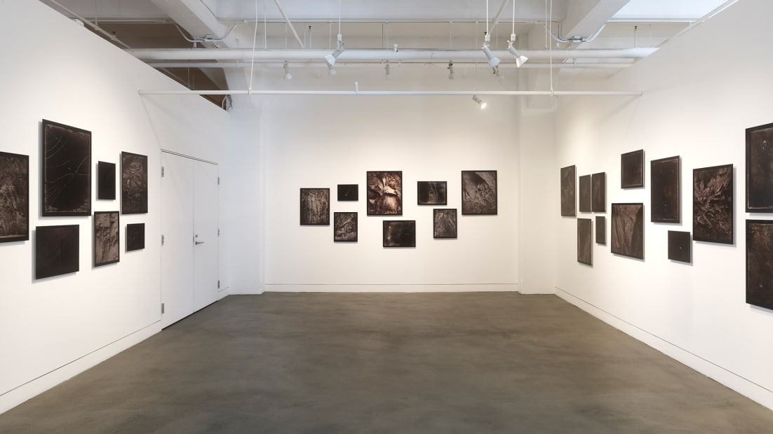 Installation view of Linda Connor: Earth and Sky, March 15 - April 27, 2024 at Haines Gallery, San Francisco Photo: Robert Divers Herrick