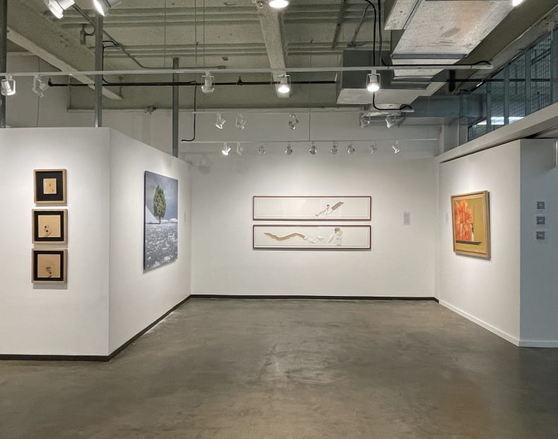 Works by Armando Castro, Max-Stven Grossman, Pablo Arrázola and Pedro Ruiz