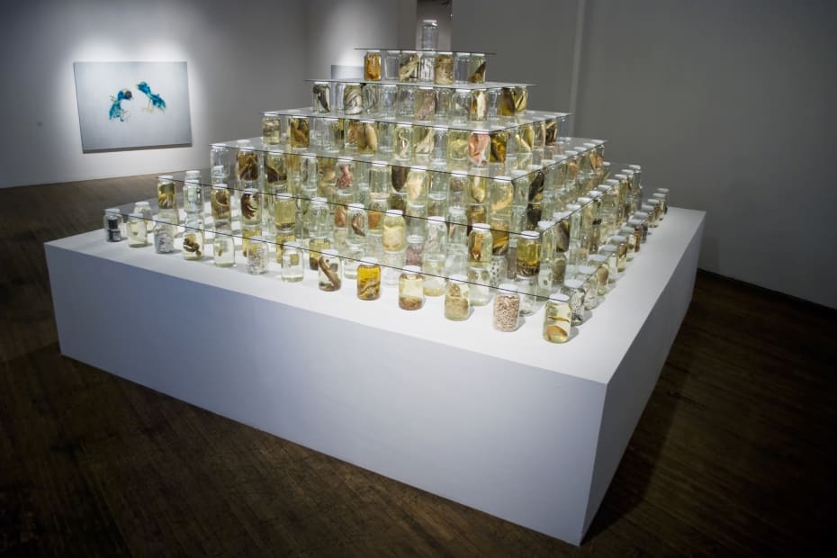 Collapse, 2012 (installation view)