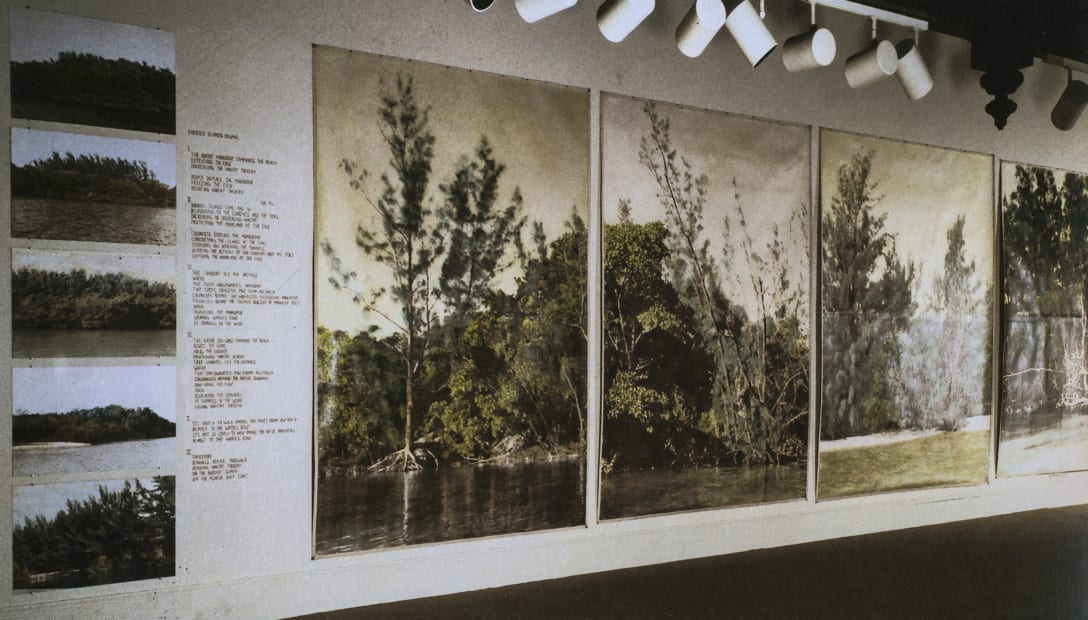 Barrier Islands Drama: The Mangrove and the Pine, 1982 Installation of photographs and texts examining the human removal of mangrove trees from their natural habitats in the Barrier Islands of southern Florida, and subsequent invasive infiltration of non-native Casuarina pine trees. Installation view, John and Marble Ringling Museum, Sarasota, FL, 1982