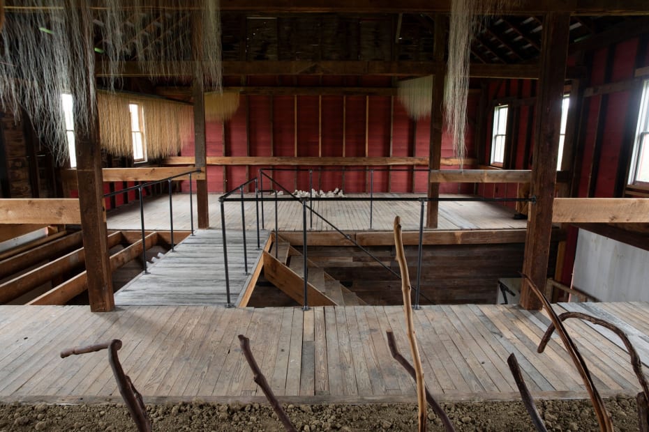 Myoung 08 15 23 A4 6082 Srgb 1800Px