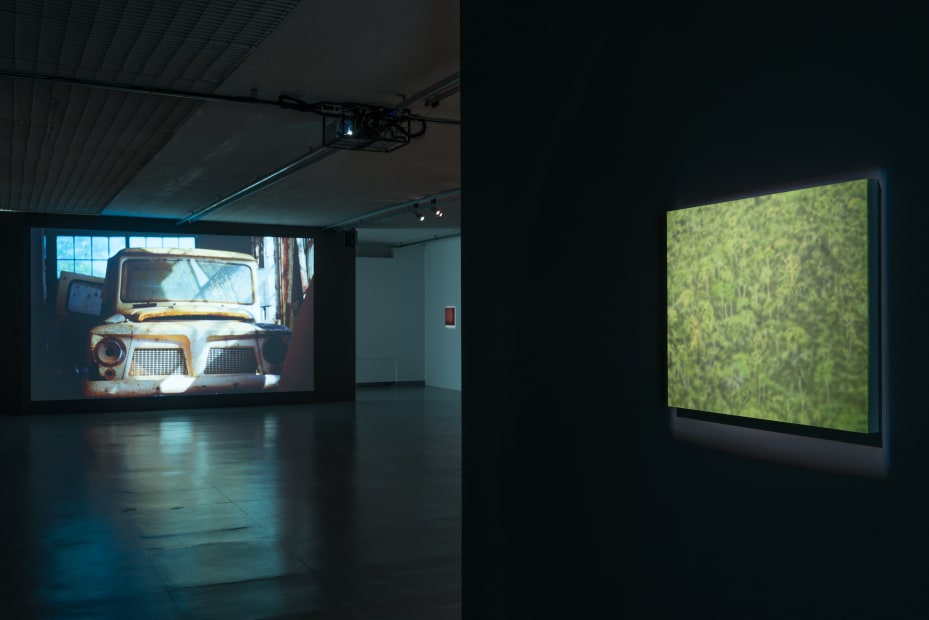 Installation view, Melanie Smith: Crocodiles and Elevators, CCA Contemporary Art Centre, Vilnius, Lithuania, 2014