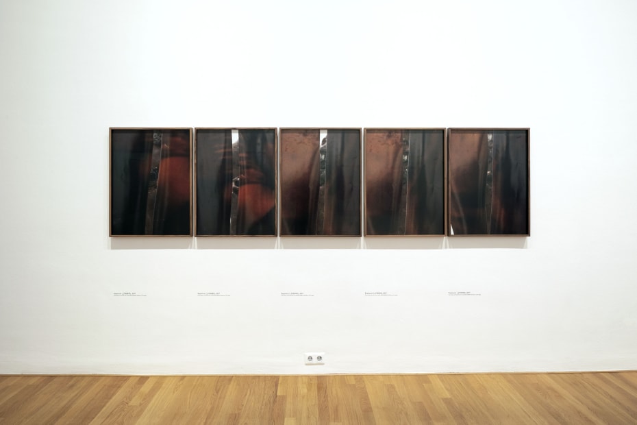 Paul Mpagi Sepuya, Double Enclosure, Foam Fotomuseum, Amsterdam, Netherlands, 2018