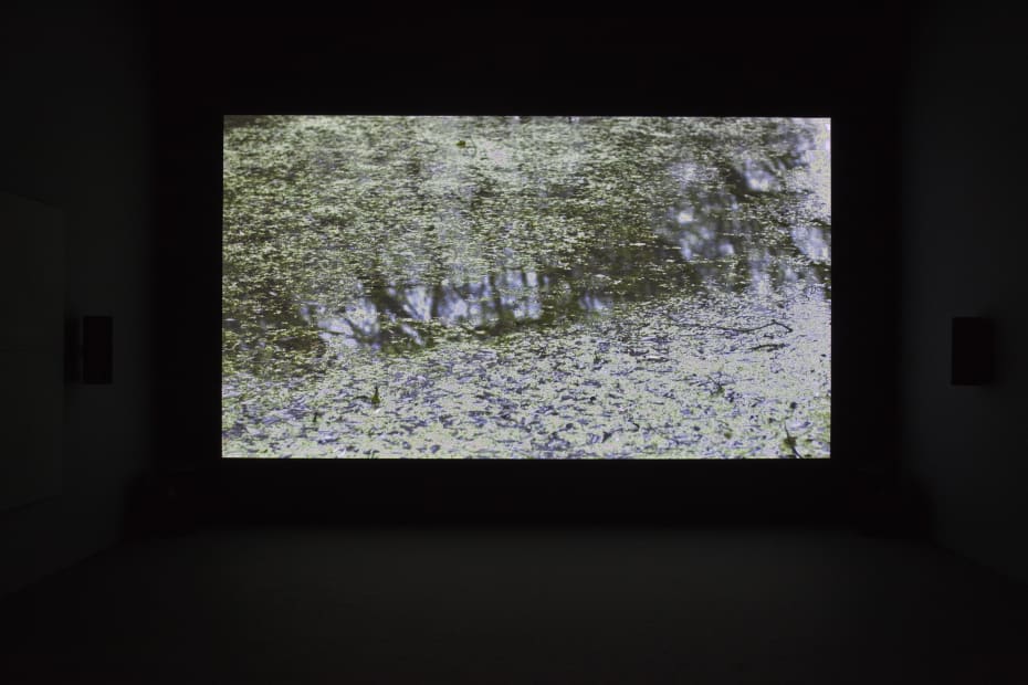 Installation view, Documenta 13: Willie Doherty, Museum Fridericianum, Kassel, Germany, 2012