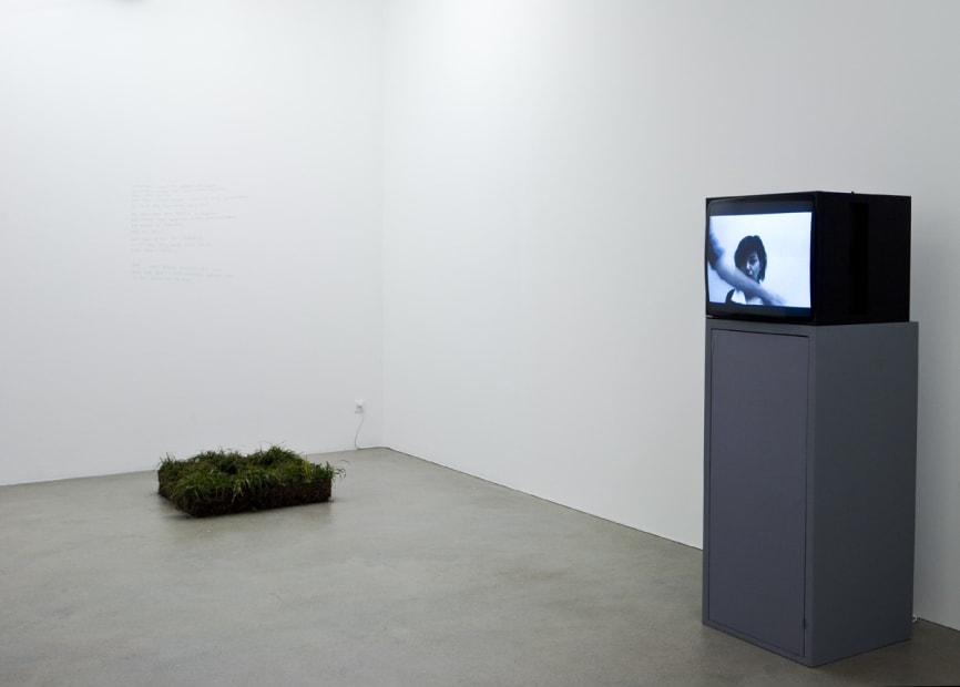 Installation view, Maja Bajevic, Galerie Peter Kilchmann, Zurich, Switzerland, 2009