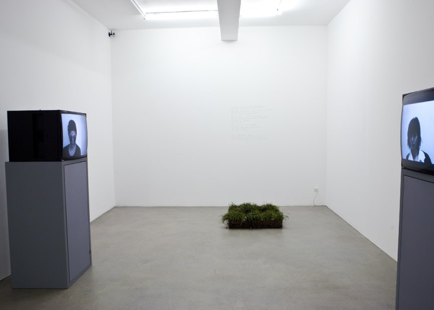 Installation view, Maja Bajevic, Galerie Peter Kilchmann, Zurich, Switzerland, 2009