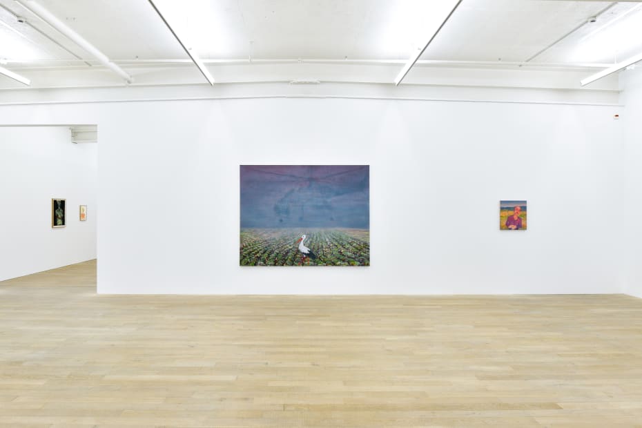 Installation view, Andriu Deplazes: Körper in diffusem Licht, Galerie Peter Kilchmann, Zurich, Switzerland, 2021, Photo: Sebastian Schaub