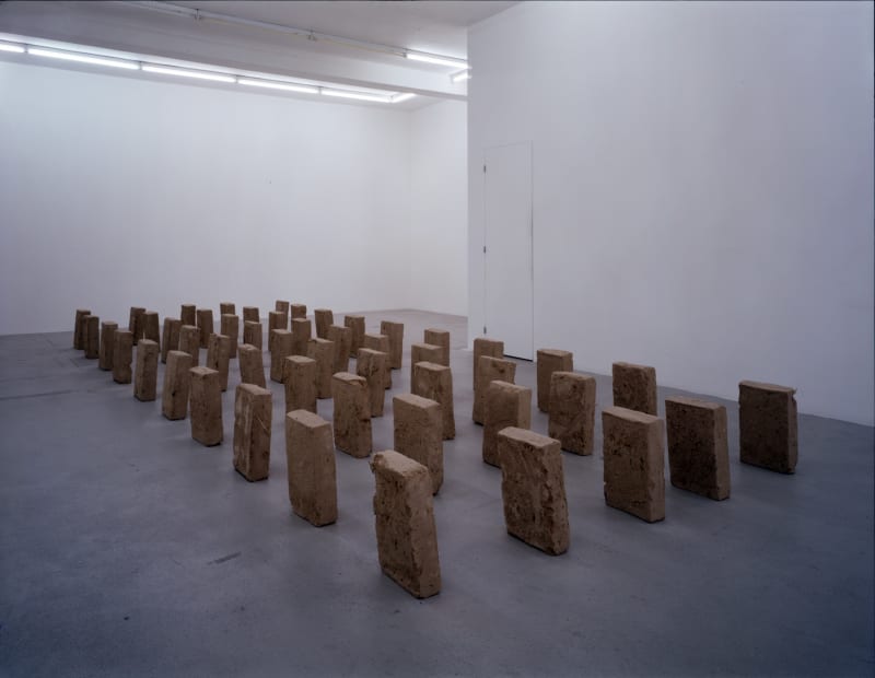 Installation view, Teresa Margolles: Ciudad Juárez, Galerie Peter Kilchmann, Zurich, Switzerland, 2005
