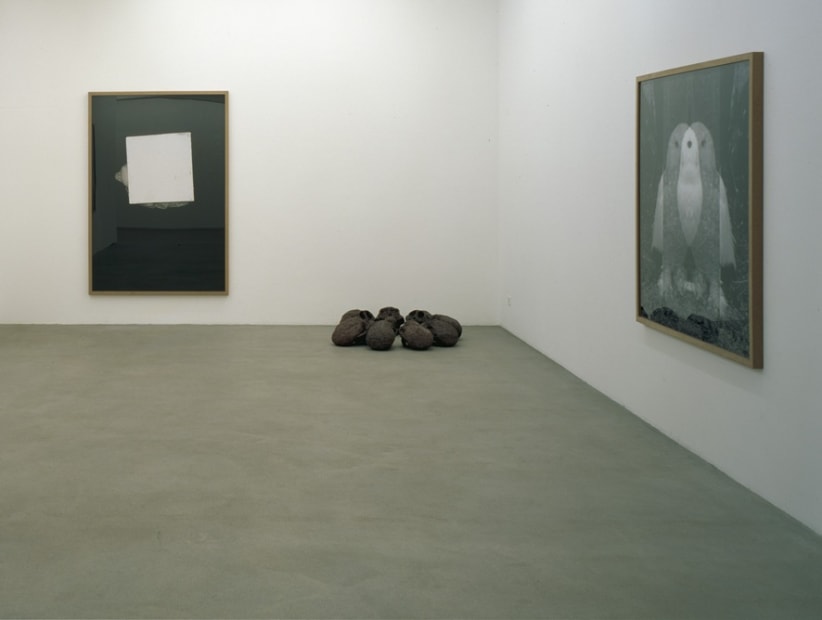 Installation view, Fabian Marti: Ape, Mom, I, Galerie Peter Kilchmann, Zurich, Switzerland, 2007
