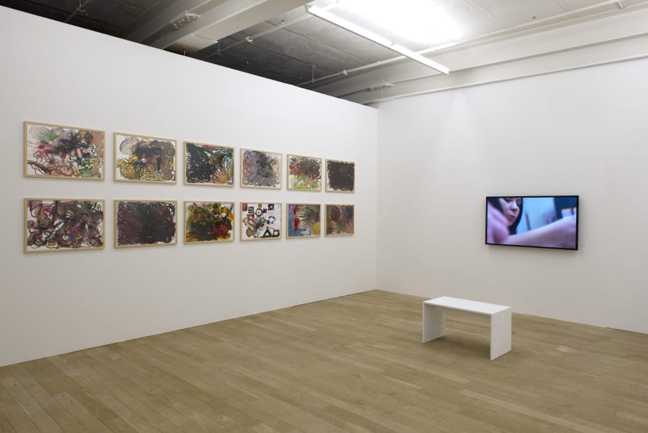 Installation view, Artur Zmijewski: Imprisoned, Galerie Peter Kilchmann, Zurich, Switzerland, 2014