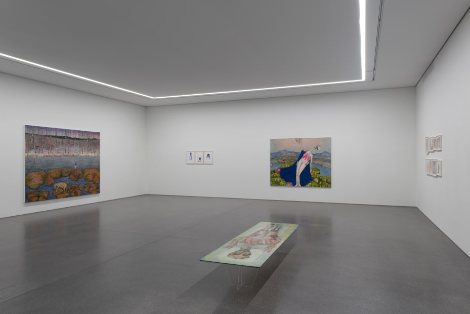 Installation view, Andriu Deplazes: Rote Augen, Bündner Kunstmuseum Chur, Chur, Switzerland, 2019