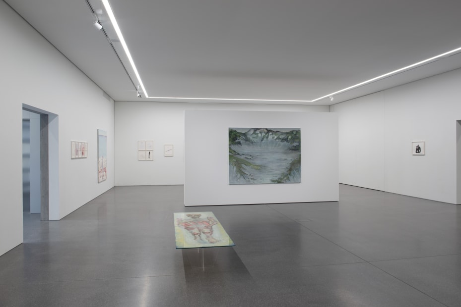 Installation view, Andriu Deplazes: Rote Augen, Bündner Kunstmuseum Chur, Chur, Switzerland, 2019
