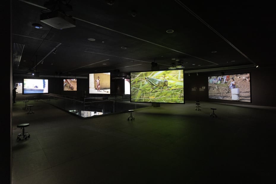 Children's Games, September 28, 2024 – April 6, 2025. Francis Alÿs. Curatorship: Cuauhtémoc Medina and Virginia Roy. Courtesy of MAZ / EstaciónMAZ. Photography: Lazarillo.