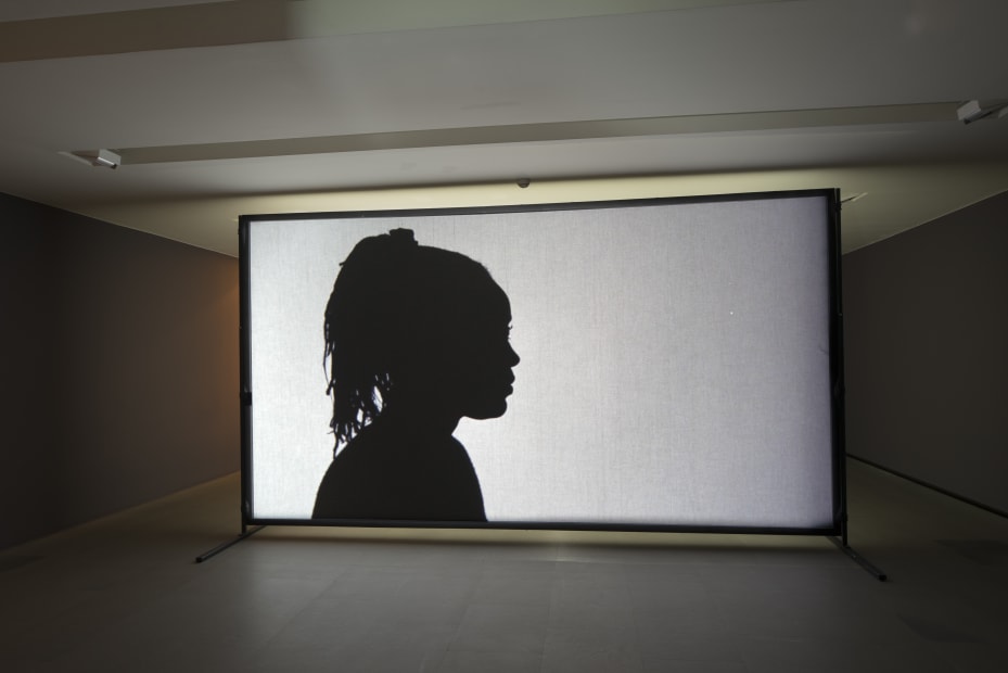 Installation view, Javier Telléz: Shadow Play, Kunsthaus Zurich, Zurich, Switzerland, 2014-2015