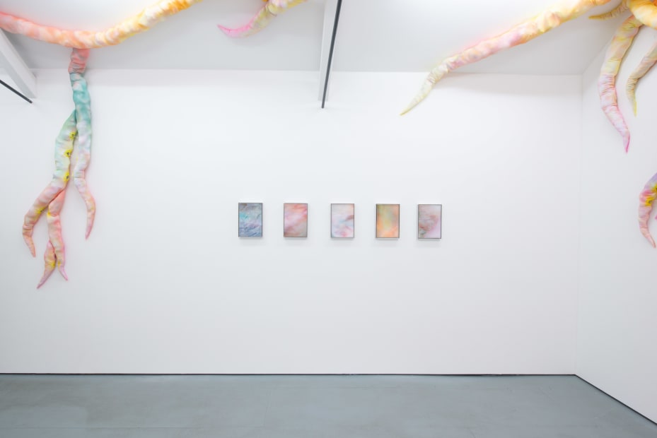 Undercurrents Install Shot Photo By Damaris Athene 30 1