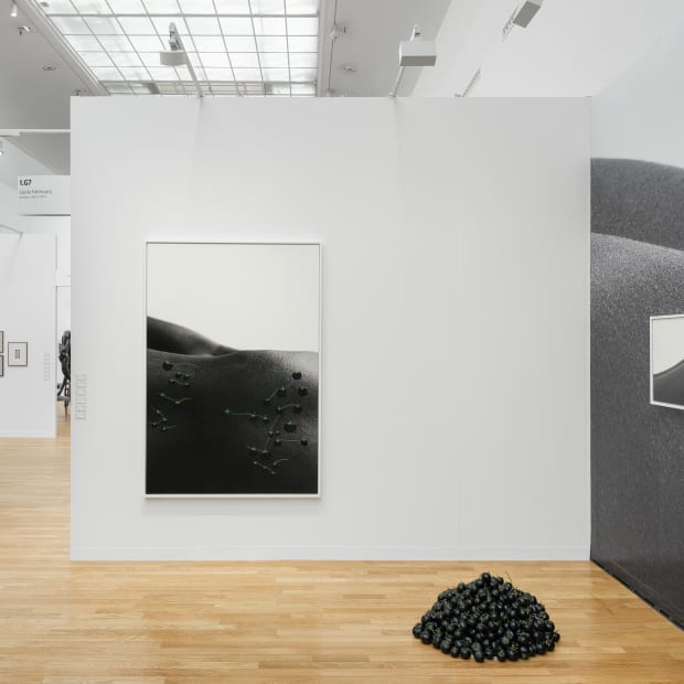 Fjsr6753 Web Photo Gregory Copitet