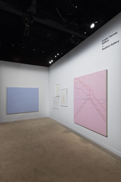 Installation View 5 Audra Skuodas At Independent 20Th Century