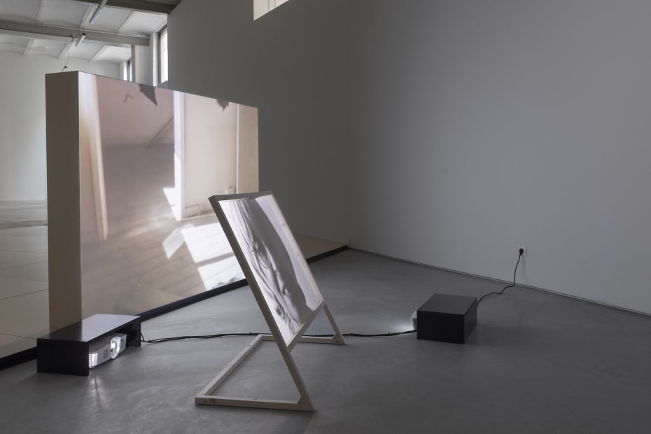 Hlp1080 Elephy Installation View2 Photo Adriaan Hauwaert Web