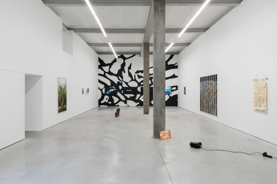 1 Exhibition View A Botanical Conversation Harlan Levey Projects Brussels 2024 Photo Credit Adriaan Hauwaert