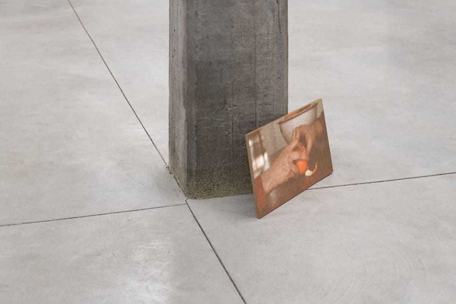 10 Exhibition View A Botanical Conversation Harlan Levey Projects Brussels 2024 Photo Credit Adriaan Hauwaert