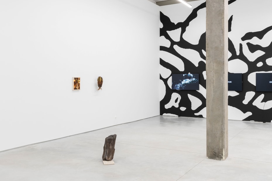 2 Exhibition View A Botanical Conversation Harlan Levey Projects Brussels 2024 Photo Credit Adriaan Hauwaert