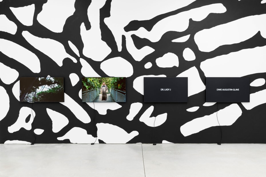 3 Exhibition View A Botanical Conversation Harlan Levey Projects Brussels 2024 Photo Credit Adriaan Hauwaert