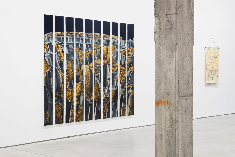 5 Exhibition View A Botanical Conversation Harlan Levey Projects Brussels 2024 Photo Credit Adriaan Hauwaert