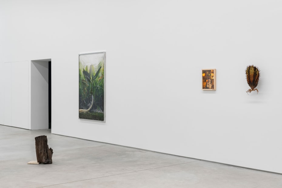 6 Exhibition View A Botanical Conversation Harlan Levey Projects Brussels 2024 Photo Credit Adriaan Hauwaert