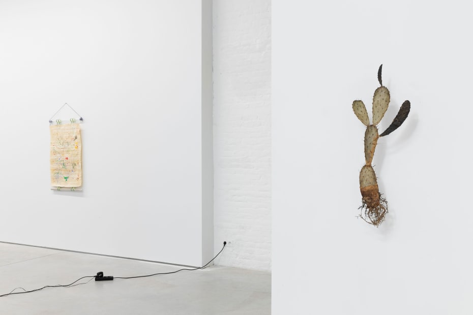 7 Exhibition View A Botanical Conversation Harlan Levey Projects Brussels 2024 Photo Credit Adriaan Hauwaert