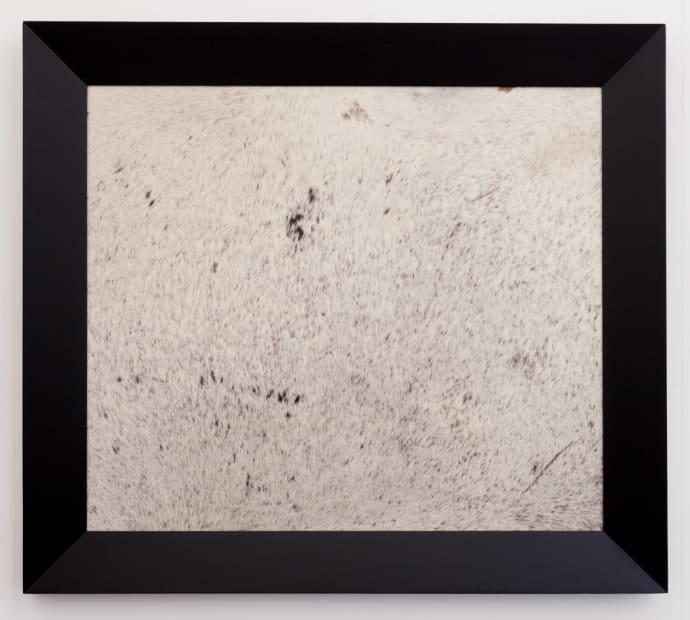 Tonytassetfrieze2018 7