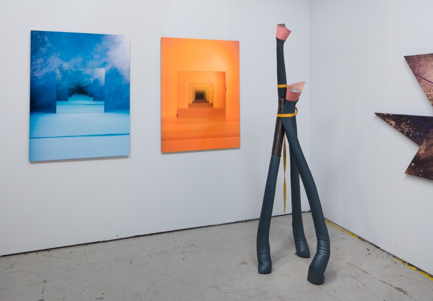 Theodore Boyer, Sarah Meyohas, and May Wilson, Art Los Angeles Contemporary, 2017