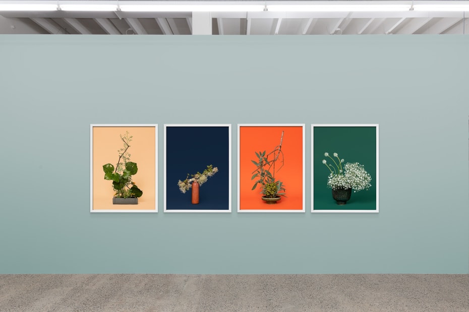 Ann Shelton Jane Says 2020 Sumer