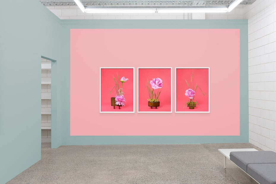 Ann Shelton The Three Sisters 2020 Sumer