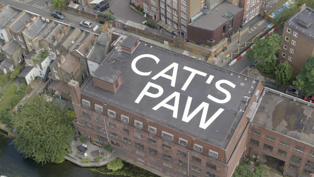 CAT’S PAW, 2021