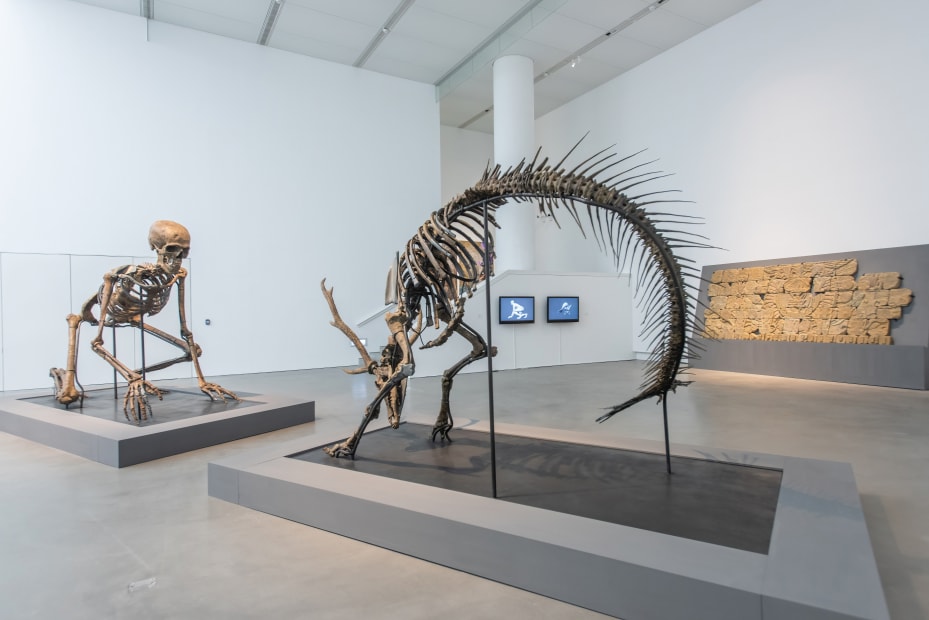 高雄市立美術館提供 Courtesy of Kaohsiung Museum of Fine Arts