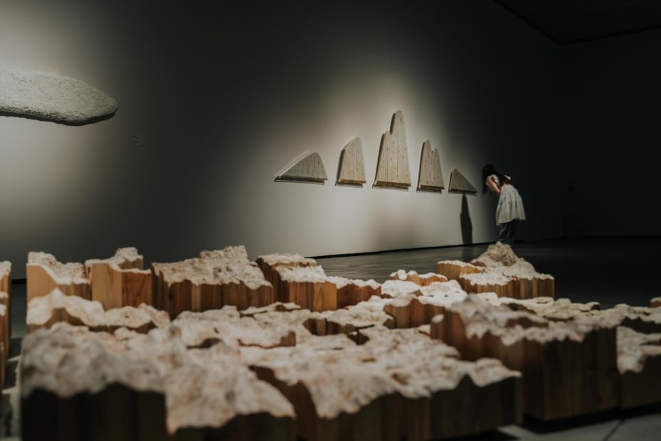 臺南市美術館提供 Courtesy of Tainan Art Museum